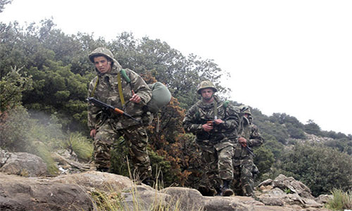 soldados durante una patrulla en el sur de Argelia Argelia anuncia el “fruto” de su lucha contra el terrorismo